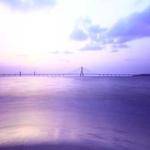 Wilbert Witting Profile Picture